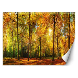 Fototapeta Jesienny las 450x315