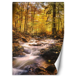 Fototapeta Jesienny wodospad 150x210