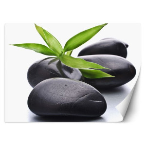 Fototapeta Kamienie zen i liść 300x210