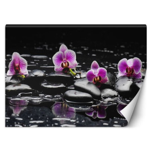 Fototapeta Kamienie zen i orchidea 200x140