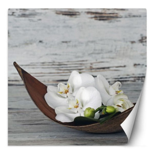 Fototapeta Kwiaty białej orchidei na tle starej deski 100x100