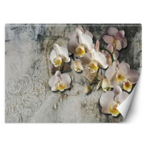Fototapeta Kwitnąca orchidea na tle starej ściany 368x254