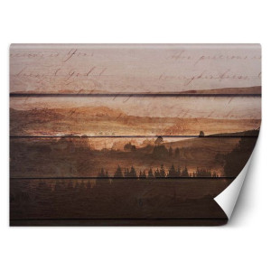 Fototapeta Las na deskach vintage 368x254