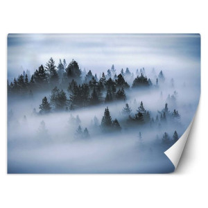Fototapeta Las we mgle 250x175