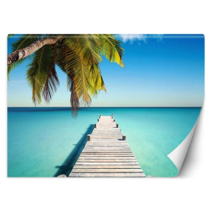 Fototapeta Kładka w ocean 450x315