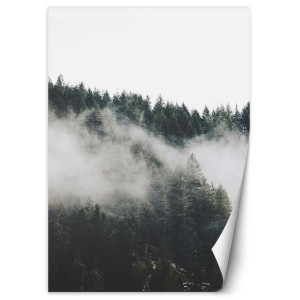 Fototapeta Las i mgła w górach 150x210