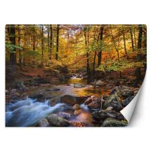 Fototapeta Leśna rzeczka 400x280