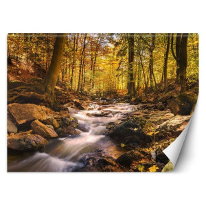 Fototapeta Leśny potok jesienią 100x70