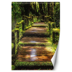 Fototapeta Mostek w zielonym lesie 200x280