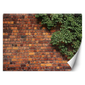 Fototapeta Mur z cegły i pnącze 100x70
