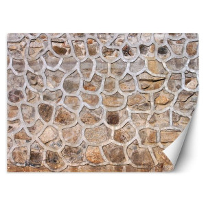 Fototapeta Mur z kamienia 250x175