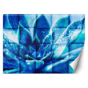 Fototapeta Niebieski kwiat 150x105