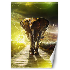 Fototapeta Magiczny słoń 200x280