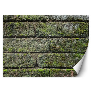 Fototapeta Porośnięty ceglany mur 150x105