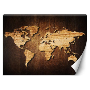 Fototapeta Mapa świata na drewnie 400x280