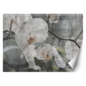 Fototapeta Orchidea vintage 350x245