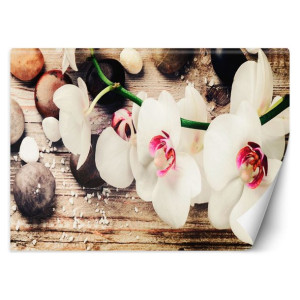 Fototapeta Orchidee zen 350x245