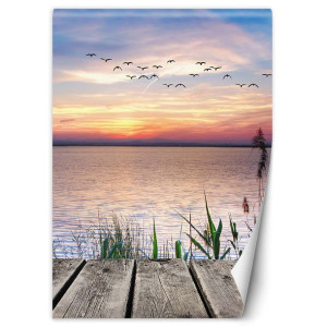 Fototapeta Ptaki nad morzem 150x210