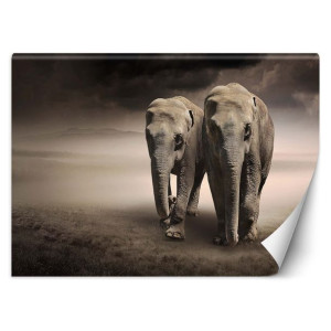 Fototapeta Para słoni 100x70