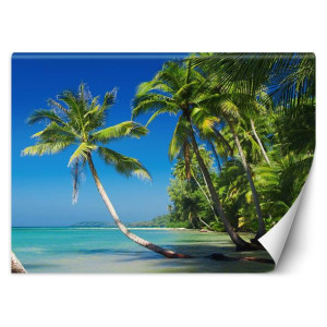 Fototapeta Palmy na dzikiej wyspie 250x175