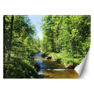 Fototapeta Rzeka w zielonym lasku 350x245