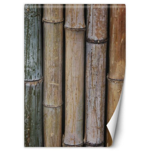 Fototapeta Pastelowe łodygi babmusa 150x210