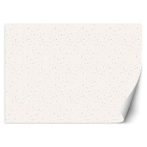 Fototapeta Scandi trójkąty 350x245