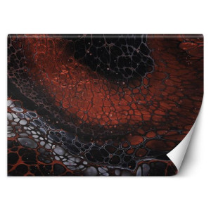 Fototapeta Planeta ziemia - Mayuko Miura 100x70
