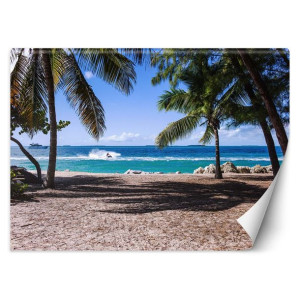 Fototapeta Piaszczysta plaża pomiędzy palmami 300x210