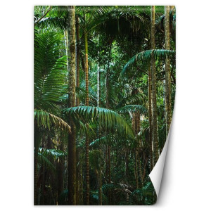 Fototapeta Tropikalne drzewa na wyspie 100x140