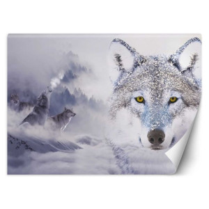 Fototapeta Wilki w zimie 450x315