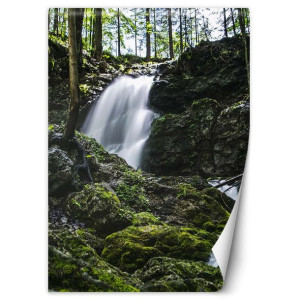 Fototapeta Wodospad w środku lasu 200x280