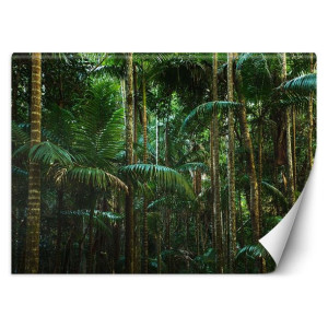 Fototapeta Wysokie palmy 350x245