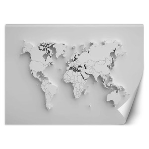 Fototapeta Zarys kontynentów 3d 200x140
