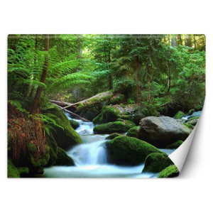 Fototapeta Zielony las 350x245