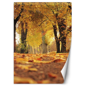 Fototapeta Złota Polska Jesień 200x280
