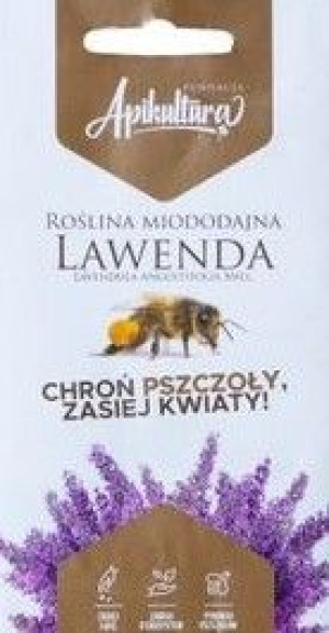Nasiona LAVENDA 0,5g roślina miododajna miód