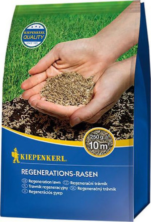 Nasiona traw Kiepenkerl Regeneracja 250G