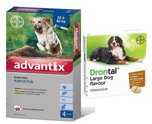Advantix - dla psów 25-40kg (4 pipety x 4ml) + Drontal PLUS FLAVOUR dla psó