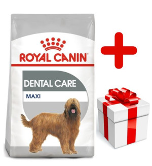ROYAL CANIN CCN Maxi Dental Care 9kg +  niespodzianka dla psa GRATIS!