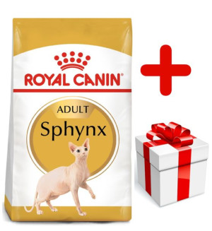 ROYAL CANIN Sphynx Adult 10kg + niespodzianka dla kota GRATIS!