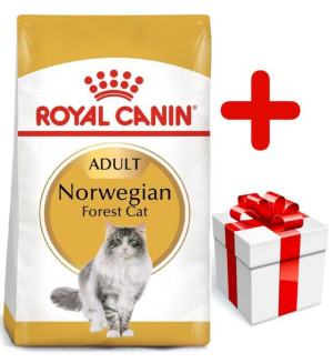 ROYAL CANIN Norwegian Forest Cat Adult 10kg  + niespodzianka dla kota GRATI