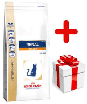 ROYAL CANIN Renal Select Feline 4kg + niespodzianka dla kota GRATIS!