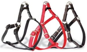 DINGO Szelki FRED „BASIC” rozm 60, szer.1,6cm, czarne