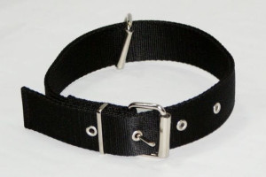DINGO Obroża z taśmy polipropylenowej 4.0cm x 70cm, czarna