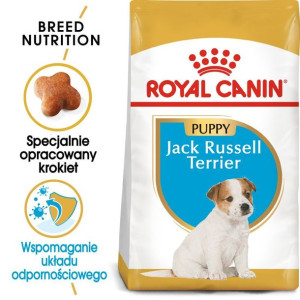 ROYAL CANIN Jack Russell Terrier Puppy 500g karma sucha dla szczeniąt do 10