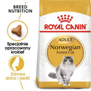 ROYAL CANIN Norwegian Forest Cat Adult 10kg karma sucha dla kotów dorosłych