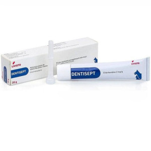 DENTISEPT 20g adhezyjna pasta do zębów dla psów i kotów
