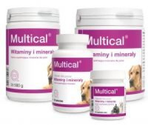 Dolvit Multical Mini  90 tabletek