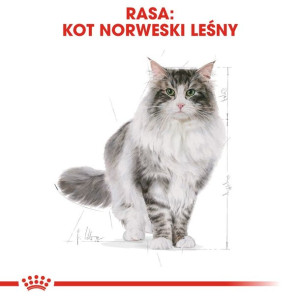 ROYAL CANIN Norvegian Forest Cat Adult 400g karma sucha dla kotów dorosłych